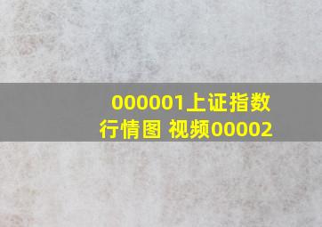 000001上证指数行情图 视频00002